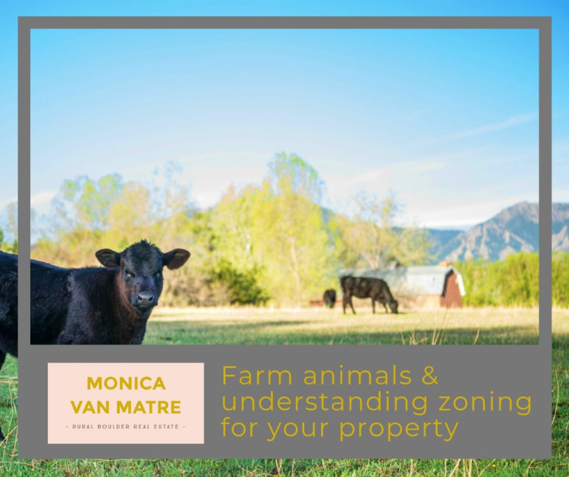 Making sense of raising farm animals on your Boulder County property! –  Monica Van Matre